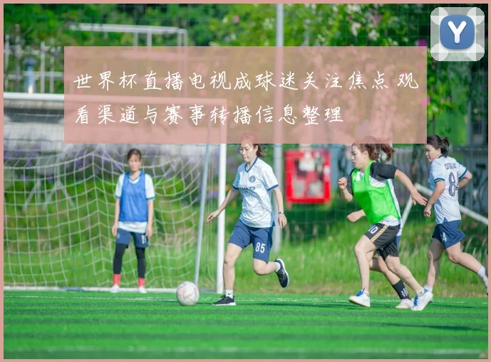 世界杯直播电视成球迷关注焦点 观看渠道与赛事转播信息整理