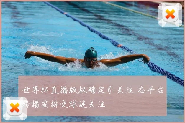 世界杯直播版权确定引关注 各平台转播安排受球迷关注