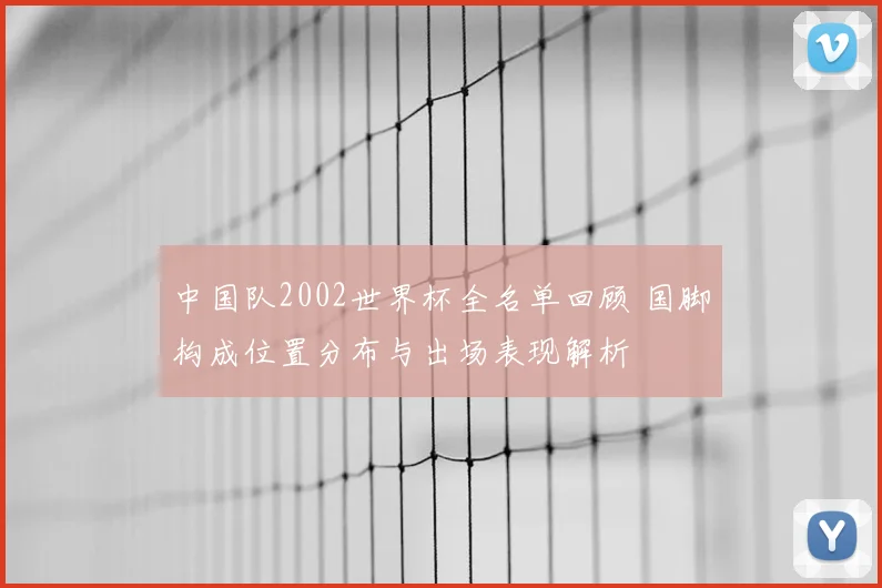 中国队2002世界杯全名单回顾 国脚构成位置分布与出场表现解析