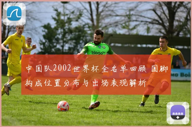 中国队2002世界杯全名单回顾 国脚构成位置分布与出场表现解析