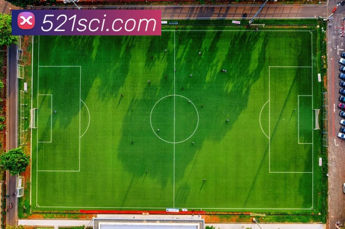 电子pg平台下载官网平台生态图